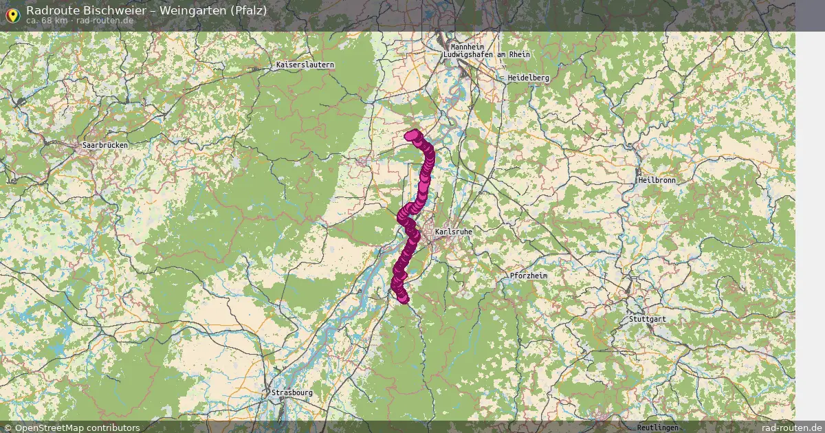 Radtour Bischweier – Weingarten (Pfalz)