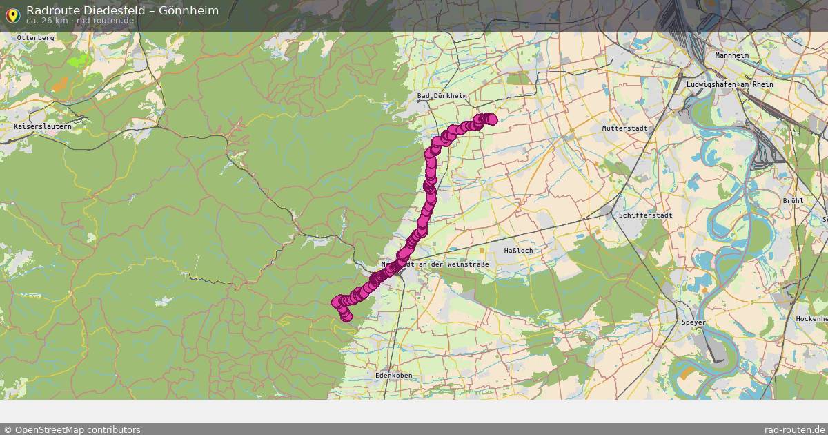Radtour Diedesfeld – Gönnheim