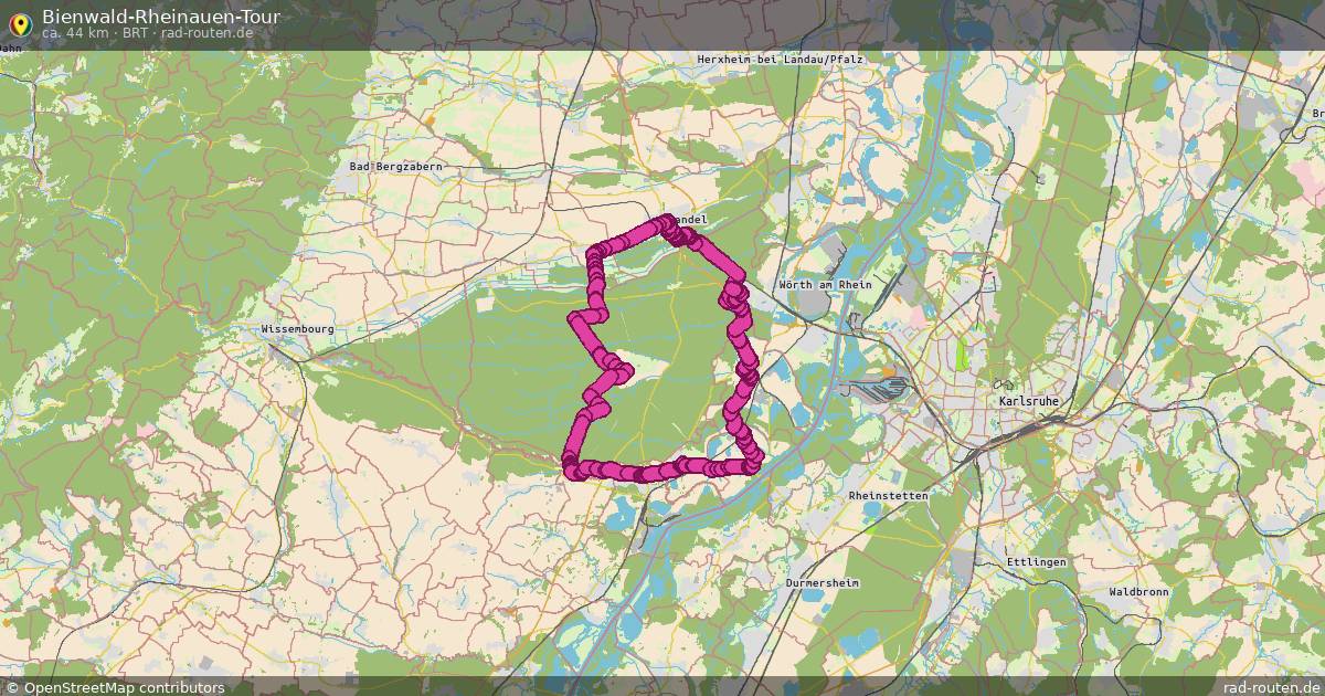 Bienwald-Rheinauen-Tour (BRT) – Fernradroute auf Rad-Routen.de
