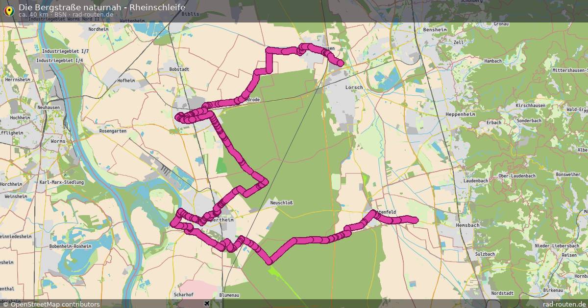 Die Bergstraße naturnah - Rheinschleife (BsN) – Fernradroute auf Rad-Routen.de
