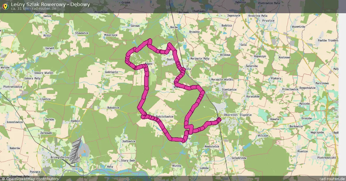 Leśny Szlak Rowerowy - Dębowy – Fernradroute auf Rad-Routen.de
